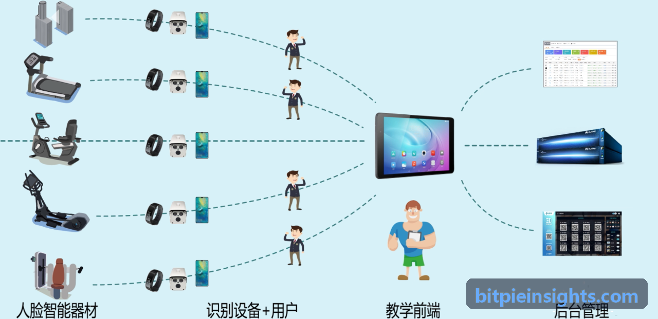 比特派底层解析拓扑图